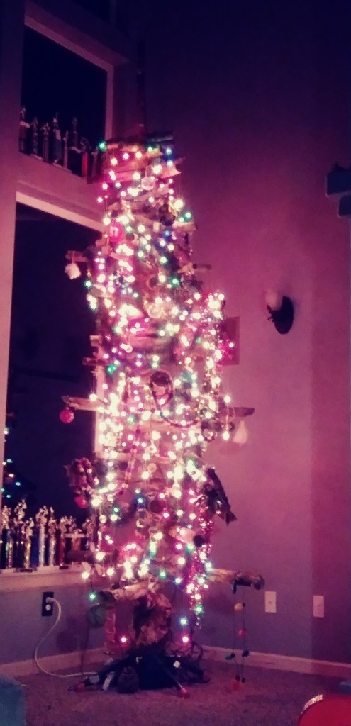 20191201_204858_Film1[1]